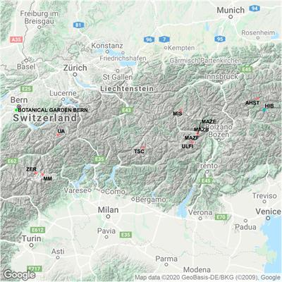 Larch Cellulose Shows Significantly Depleted Hydrogen Isotope Values With Respect to Evergreen Conifers in Contrast to Oxygen and Carbon Isotopes